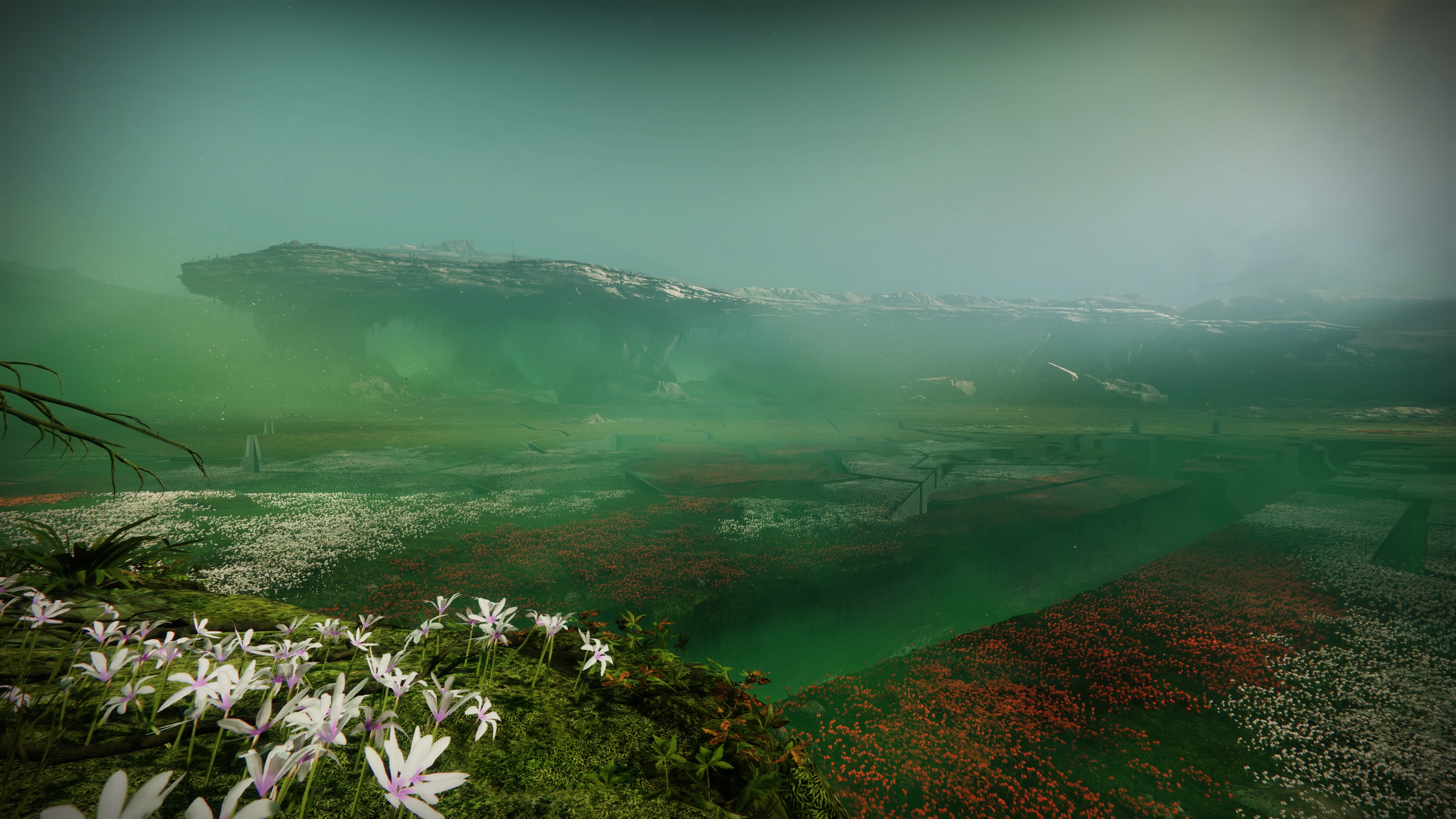 garden-of-salvation-3.jpg